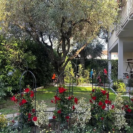 Maison Tondo Homestay Carrara